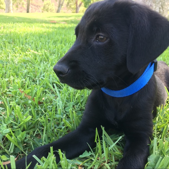 Meet your Posher, Amanda - Picture 1 of 1